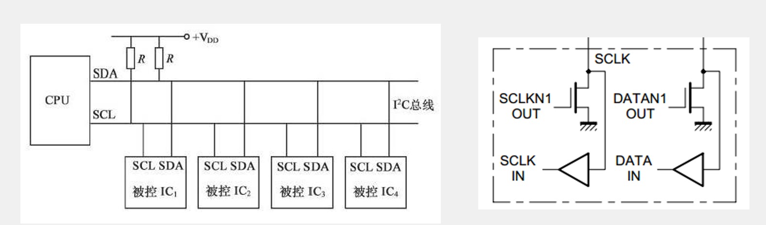 这是图片